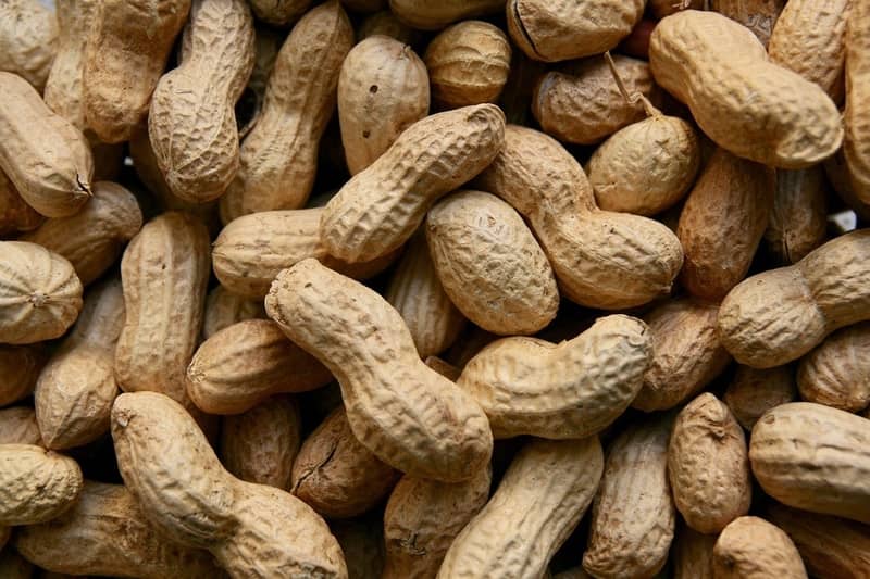 Does nut increase fat
