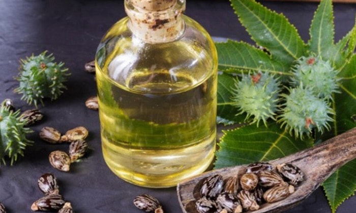 Natural Castor Oil-The Best Uses of Ricinus oil (Veneer Tal)