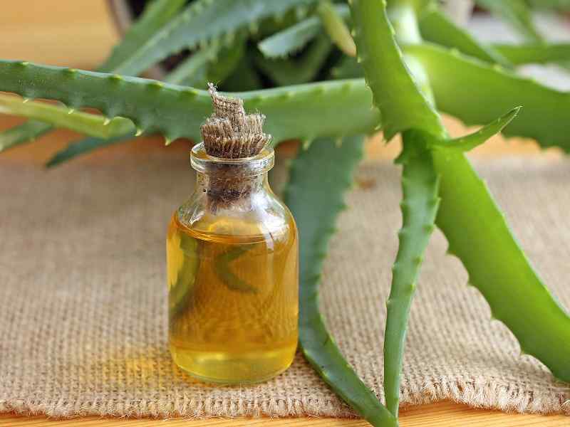 What is Aloe Vera Oil