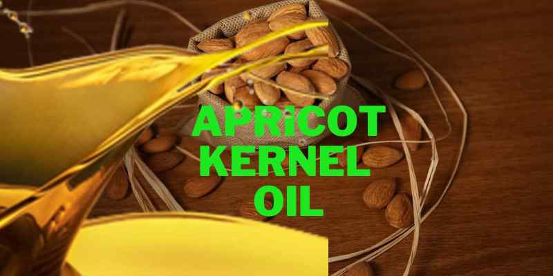APRICOT KERNEL OIL