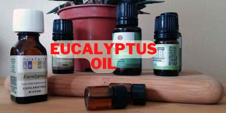 Benifits of Eucalyptus Oil