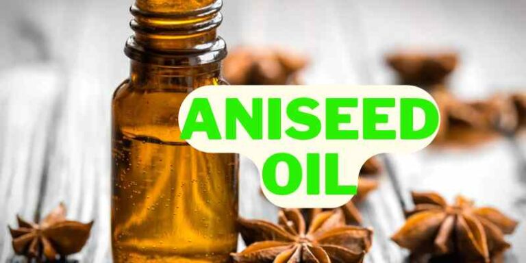 Uses and Benefits of Aniseed Oil and Its Caution