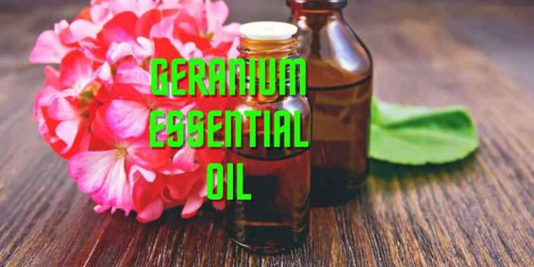 Geranium is one of the most commonly used essential oils, yet we know little about it. Find the details of Geranium Essential Oil.