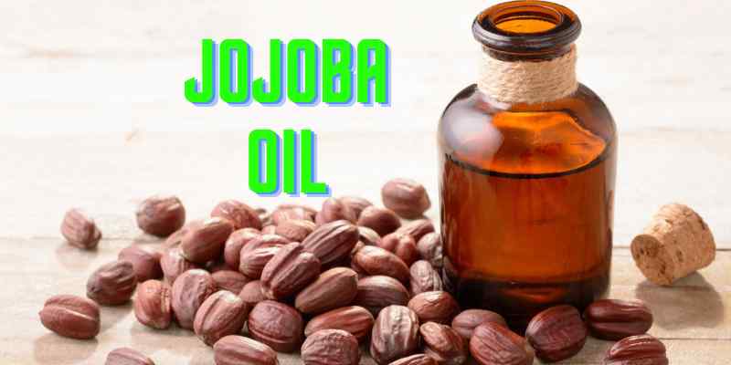 The oils extracted from jojoba seeds commonly known as jojoba oil. Find the best 15 benefits of pignut / wild hazel/ coffeeberry oil.