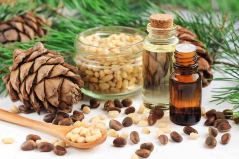 How Is Cedarwood Oil Extracted? What Makes It Beneficial For Your Health?