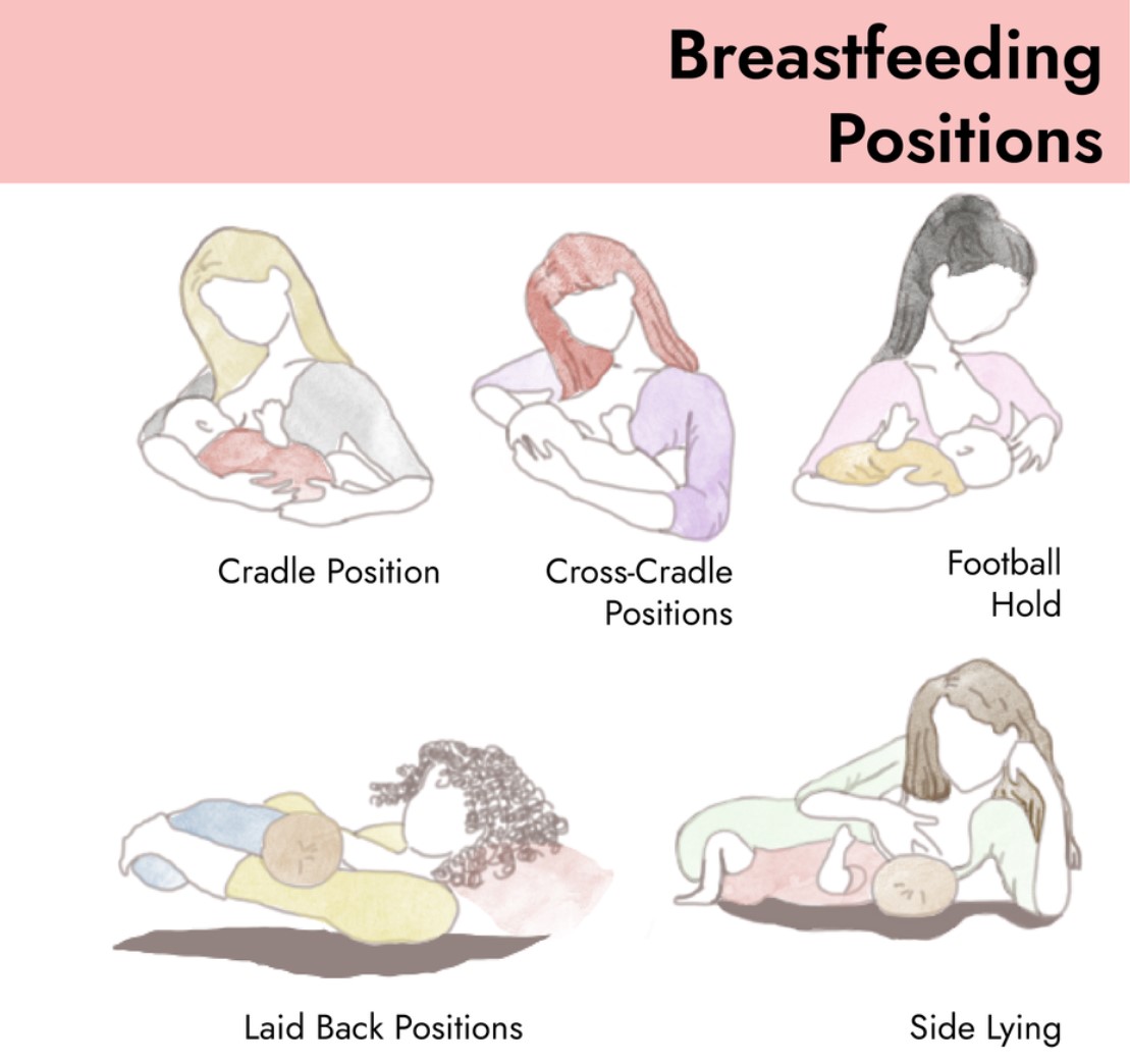An illustration shows various labeled breastfeeding positions with tips for proper positioning, including the cradle hold, cross-cradle hold, football hold, side-lying position, and more.