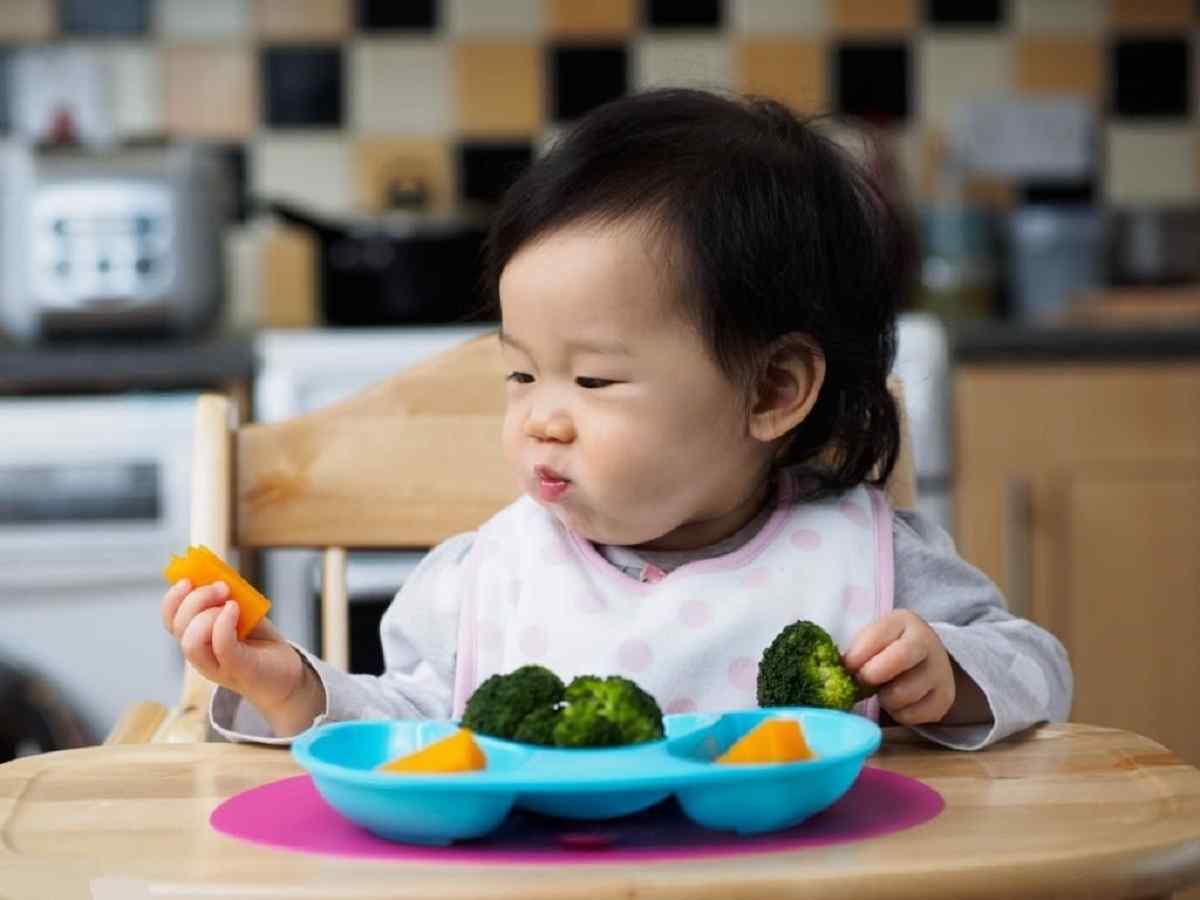 Baby Led Weaning Meal Plan