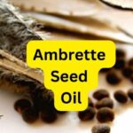 Ambrette Seed Oil has a long history in Eastern medicine and Ayurveda. After thousands of years, the appeal of oil is still relatively high.