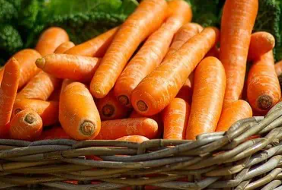 There may be some confusion about Carrot oil or Carrot seed essential oil.