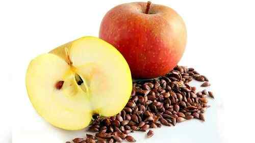 Apple seed oil is known as vegetable oil.