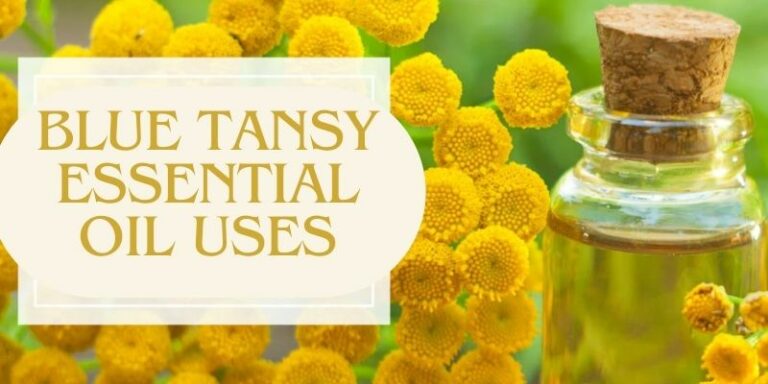 Discover 20 top uses of organic Blue Tansy oil for skincare and relaxation in this comprehensive guide!